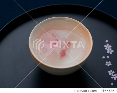 Sakura - Hirano Shrine 9166386