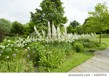 The garden (English garden) The garden (English garden) 9166454