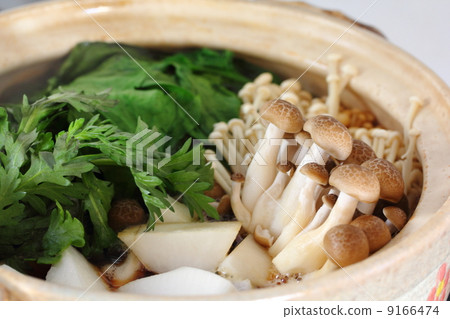 casserole  9166474