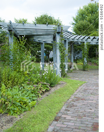 The garden (English garden) 9166492