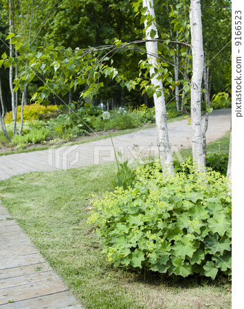 The garden (English garden) The garden (English garden) 9166523