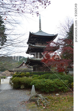 Mitsuji（Sonjoji）的“三重塔”（滋賀縣大津市大津市） 9166549