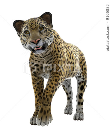 Leopard Leopard 9166883