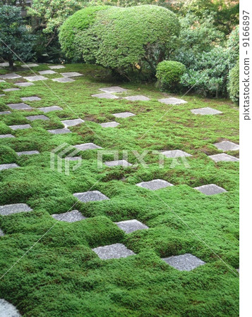東福寺 東福寺 9166897