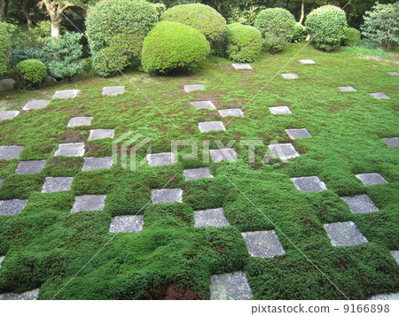 東福寺 東福寺 9166898
