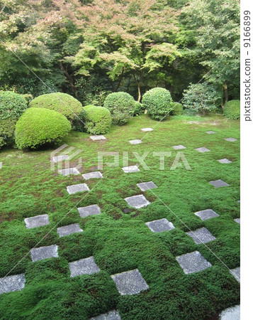 Tofukuji Tofukuji 9166899