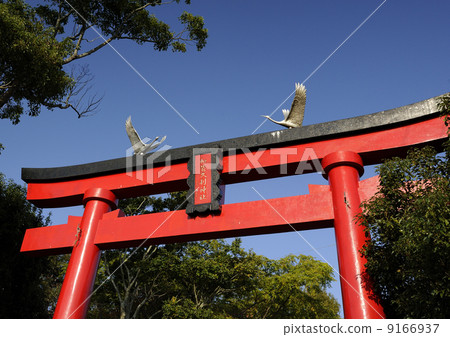 在Hisaki Shrine的Torii torii 在Hisaki Shrine的Torii torii 9166937