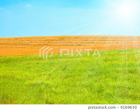 agriculture field 9169630