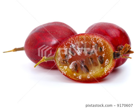 fresh ripe gooseberry fresh ripe gooseberry 9170607