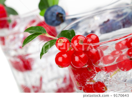 juice / cocktail with currant, blueberry and ice, isolated on wh juice / cocktail with currant, blueberry and ice, isolated on wh 9170643