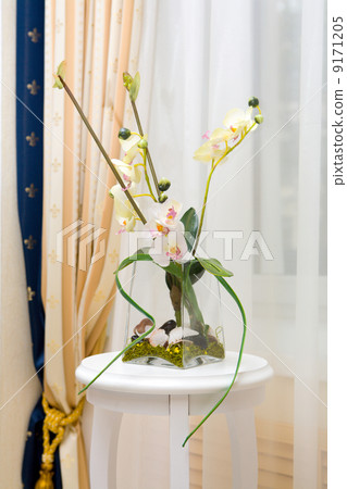 Decor indoors Decor indoors 9171205