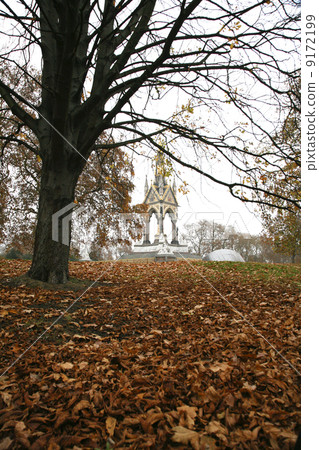 autumn in the park autumn in the park 9172199
