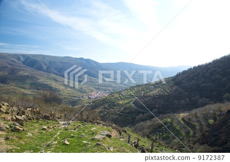 vera valley vera valley 9172387