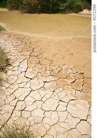 oasis at desert in navarra oasis at desert in navarra 9172399