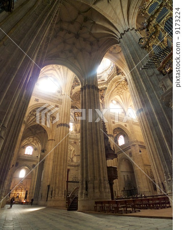 great indoors at Salamanca cathedral 9173224
