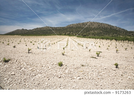 landscape with cultivation landscape with cultivation 9173263