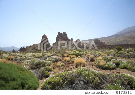 volcanic area 9173811