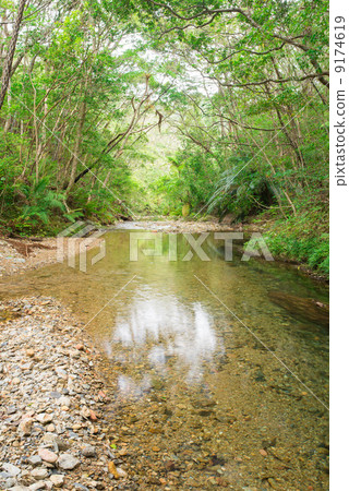 Yanbaru（Ie River）清除潮流 9174619