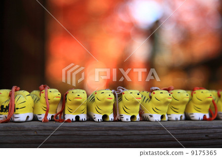 Tranquilizer 9175365