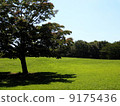Hill and forest and blue sky Left tree Hill and forest and blue sky Left tree 9175436