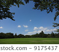 Hill and forest with blue sky frame Hill and forest with blue sky frame 9175437