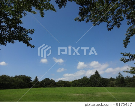 小山和森林有藍天框架的 小山和森林有藍天框架的 9175437