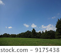 Hill and forest and blue sky Right tree Hill and forest and blue sky Right tree 9175438