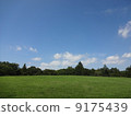 Hill and forest and blue sky forest flat Hill and forest and blue sky forest flat 9175439