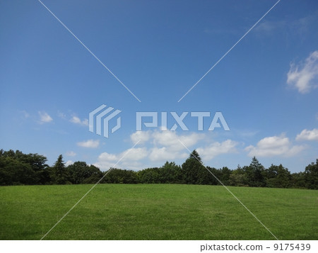 Hill and forest and blue sky forest flat 9175439