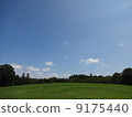 Hill and forest and blue sky forest 2 Hill and forest and blue sky forest 2 9175440