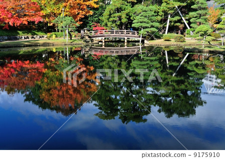 白山公園秋葉 白山公園秋葉 9175910