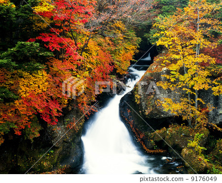 Tochigi prefecture · Autumn Nikko Ryuu Falls 9176049