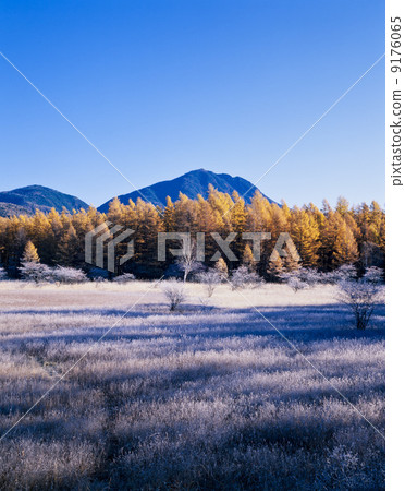 Tochigi prefecture · Autumn Nikko Odashiro is original Tochigi prefecture · Autumn Nikko Odashiro is original 9176065