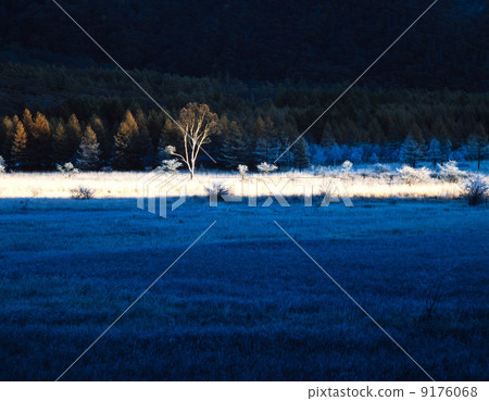 Nikko Odashiro in Tochigi prefecture · late autumn is original Nikko Odashiro in Tochigi prefecture · late autumn is original 9176068