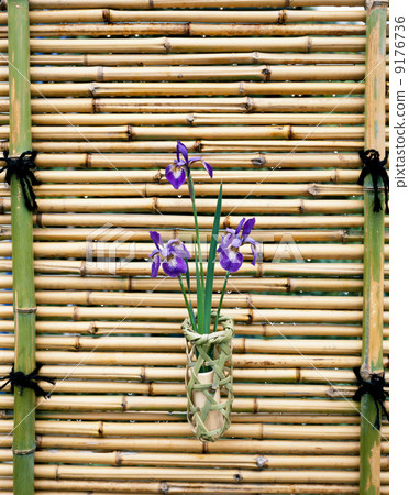 竹籬笆和虹膜 竹籬笆和虹膜 9176736