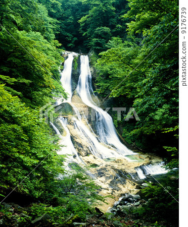 栃木縣·新鮮的綠霧瀑布瀑布 9176739