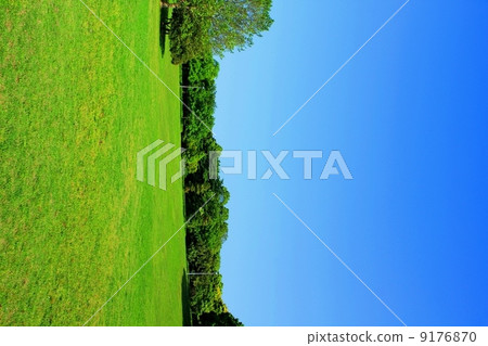 清爽的公園 9176870