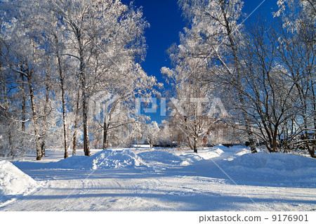 winter landscape with the road the forest and the blue sky 9176901