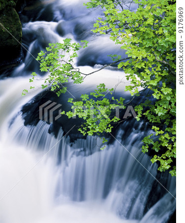 栃木縣·鮮綠色的日光冠瀑布 9176969