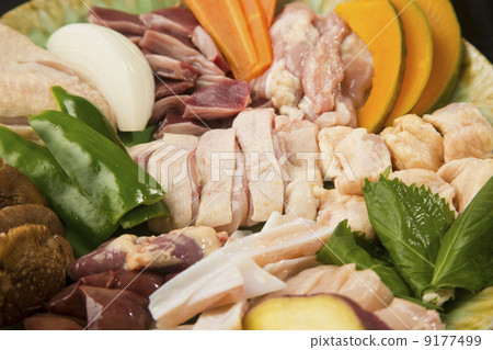 雞肉 雞肉 9177499