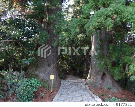 Kumano Kodo · Nachi's couple couple 9177831