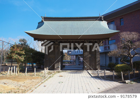 水戶城堡製藥醫學 水戶城堡製藥醫學 9178579
