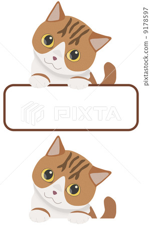 Frame cat (from the top 2) - Stock Illustration [9178597] - PIXTA