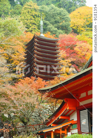 Autumn leaves 9181354