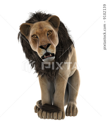 lion 9182139