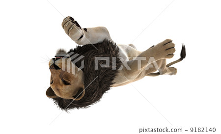 lion 9182140