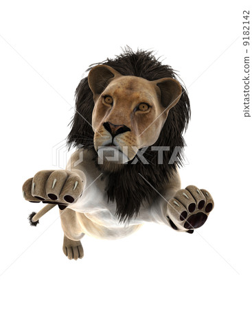 lion 9182142