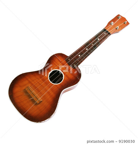 acoustic guitar  9190030