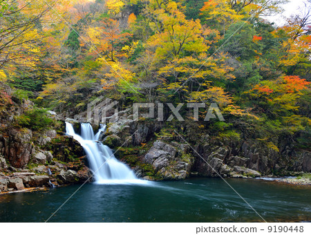 Three steps of autumn 9190448