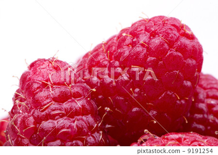A beautiful selection of raspberries A beautiful selection of raspberries 9191254